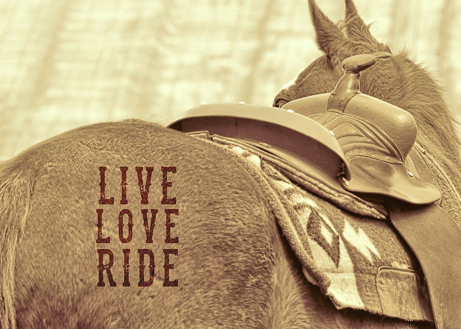 PONY UP quote by Dressage Design PONY UP quote by Dressage Design