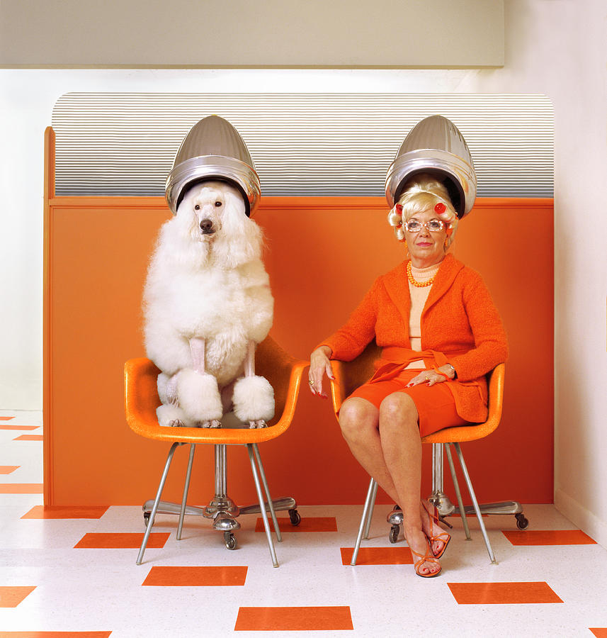 Poodle And Senior Woman Sitting Under Photograph by Kendall Mcminimy Poodle And Senior Woman Sitting Under Photograph by Kendall Mcminimy