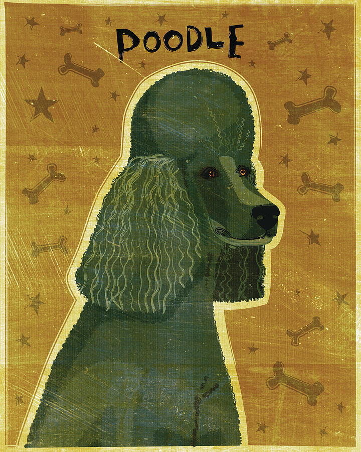 Animal Digital Art - Poodle (black) by John W. Golden