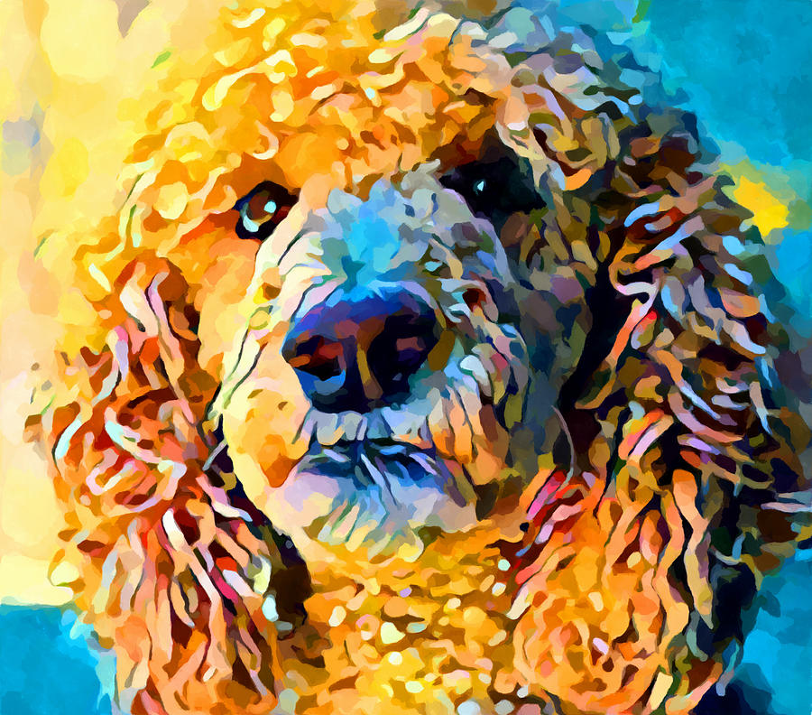 Poodle Painting by Chris Butler