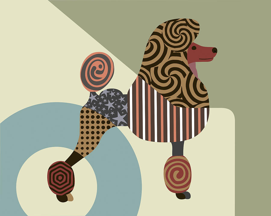 Animal Digital Art - Poodle Dog by Lanre Adefioye