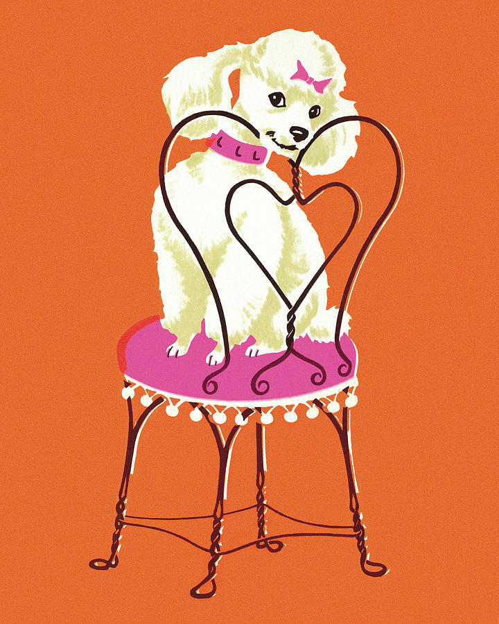 Vintage Drawing - Poodle Dog on Chair by CSA Images