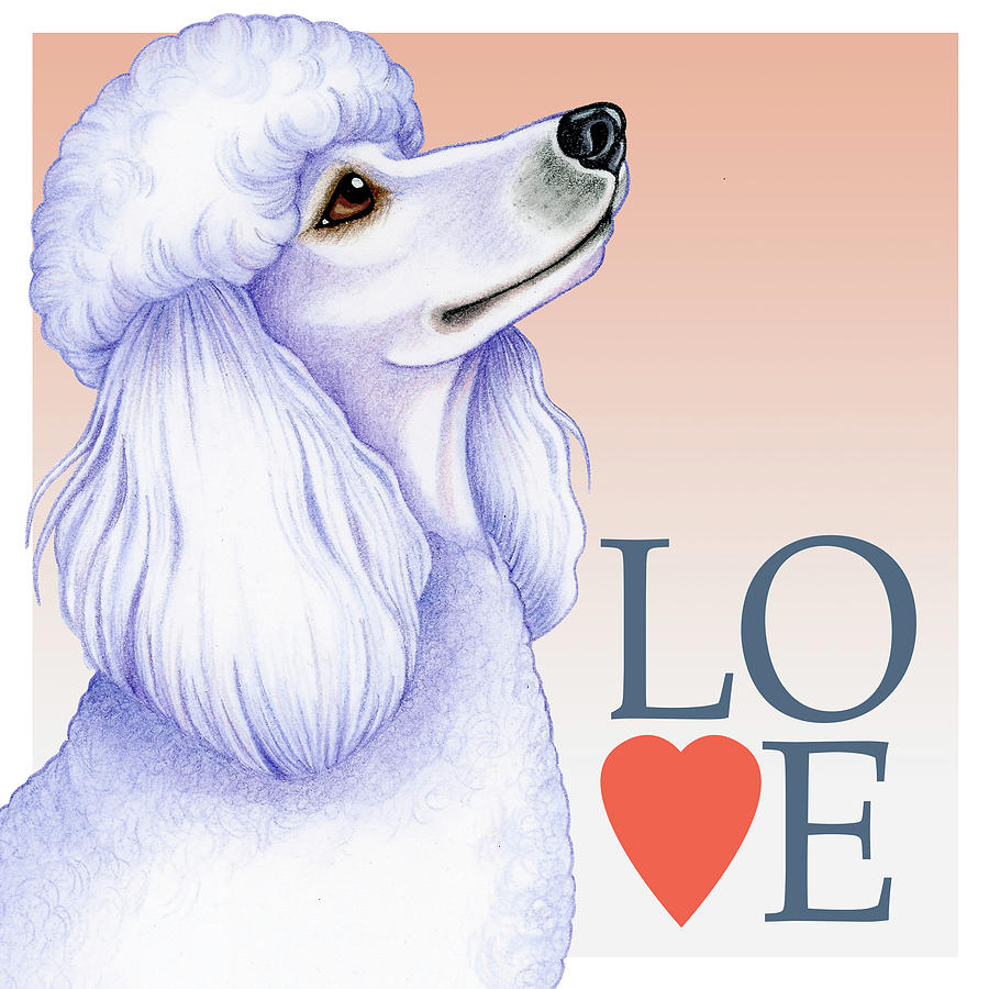 Inspirational Mixed Media - Poodle Love by Tomoyo Pitcher