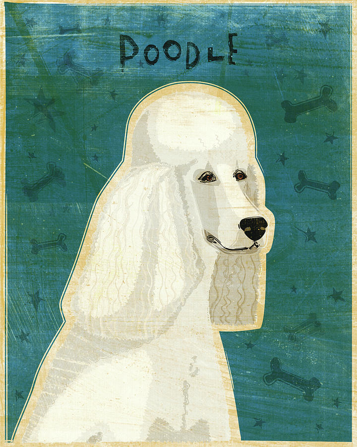 Animal Digital Art - Poodle (white) by John W. Golden