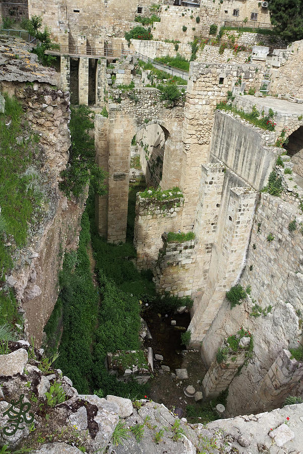 Pool of Bethesda Photograph by Ginger Repke