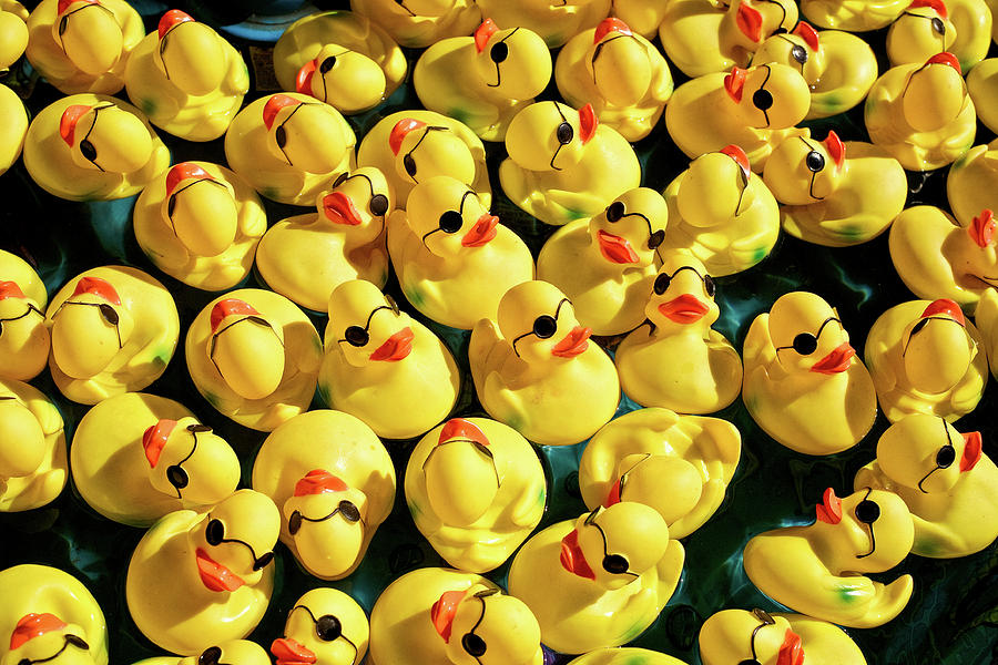 Pool of Duckies Photograph by Todd Klassy