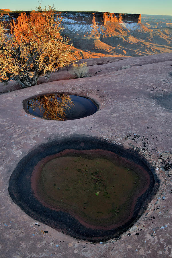 Pool Reflection at Green River Overlook in Canyonlands Photograph by Ray Mathis