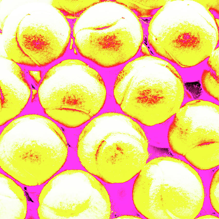 Pop Art Tennis Balls by Le Comp Pop Art Tennis Balls by Le Comp