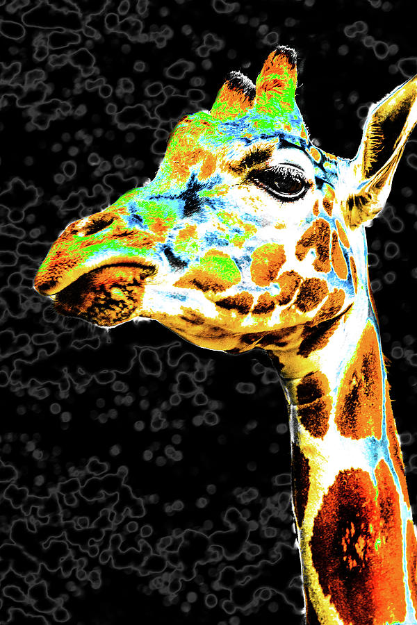 Pop Giraffe Photograph by Aaron Geraud