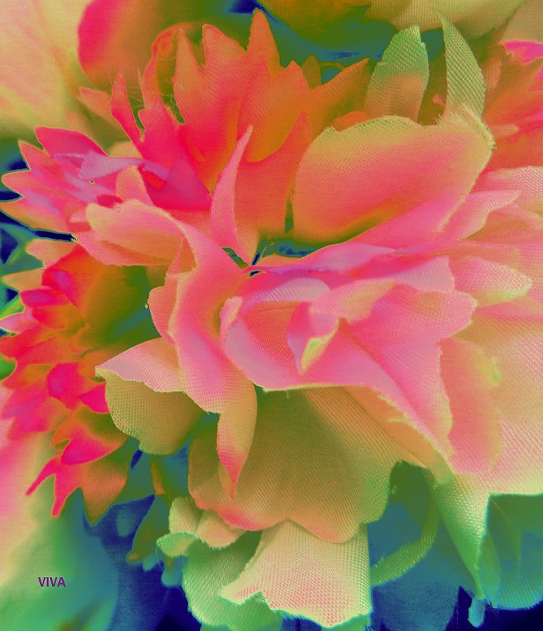 Pop Peony Petals by VIVA Anderson Pop Peony Petals by VIVA Anderson