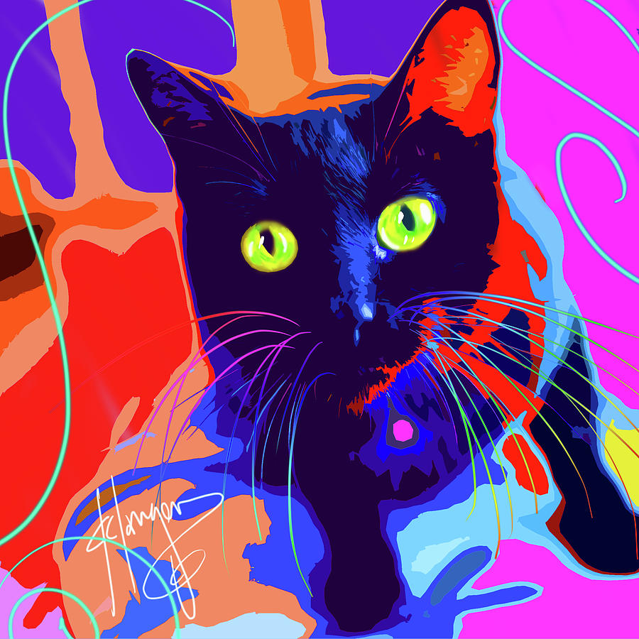 pOpCat Lorelai by DC Langer pOpCat Lorelai by DC Langer