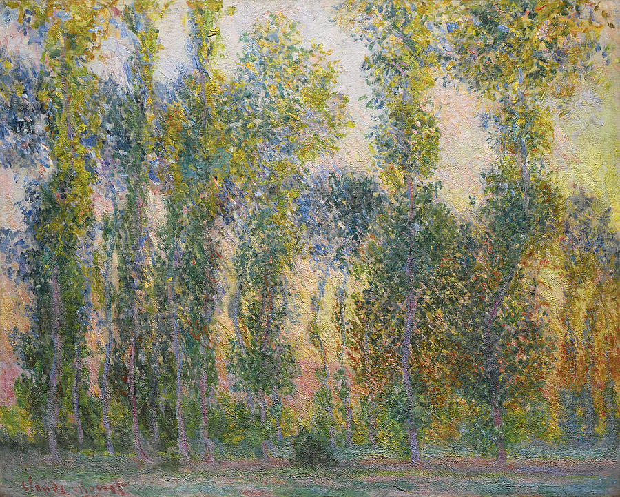 Claude Monet Drawing - Poplars At Giverny, 1887. Artist Monet by  Fine Art Images