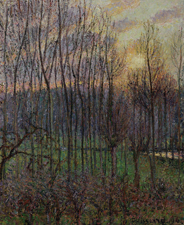 Poplars, Sunset at Eragny, 1894 Painting by Camille Pissarro
