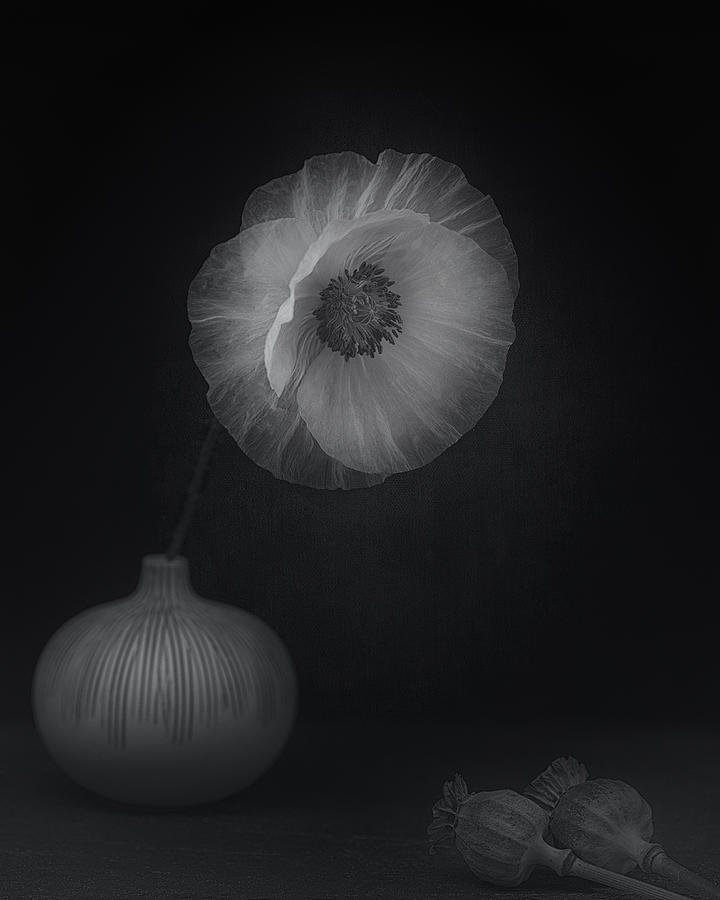 Poppy Photograph - Poppies & Vase by Lotte Grnkjr
