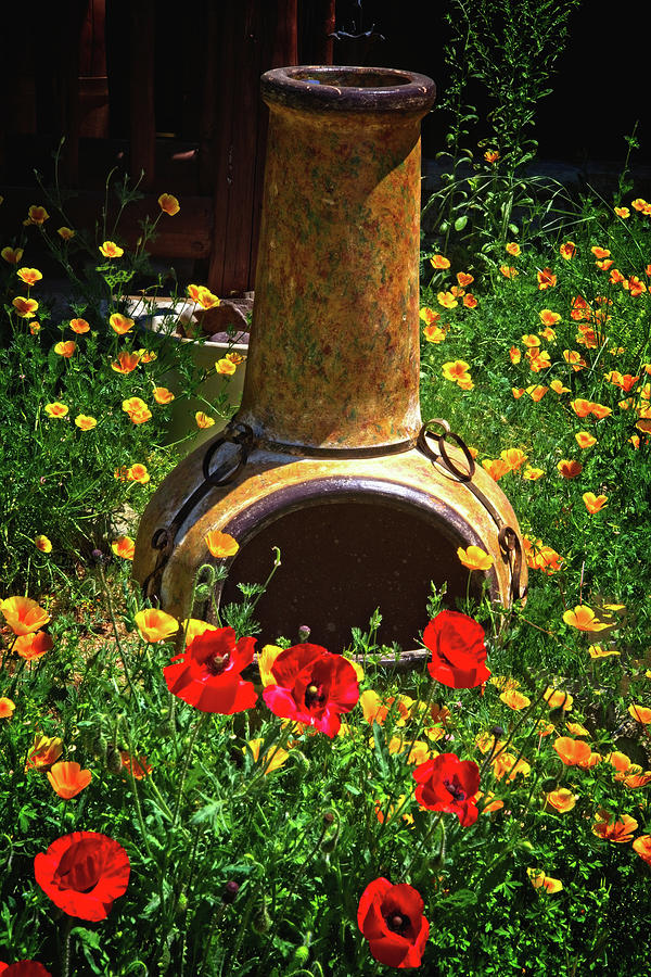 Poppies and Pottery Photograph by Lynn Bauer