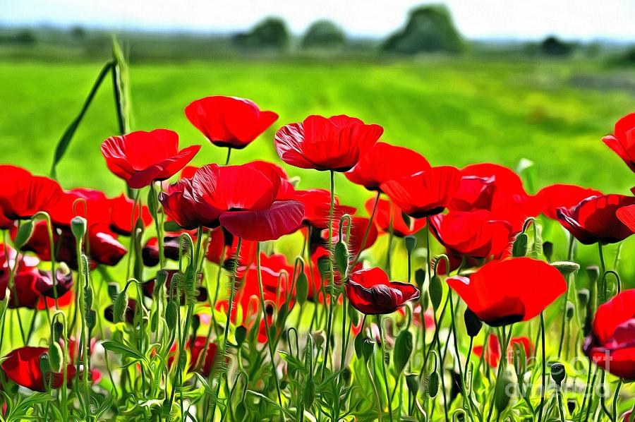 Poppies during springtime by George Atsametakis Poppies during springtime by George Atsametakis