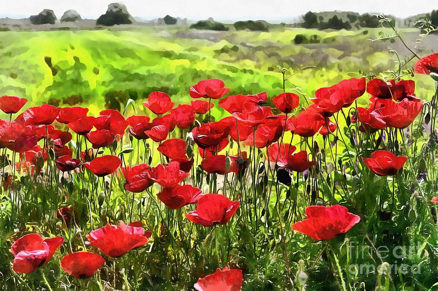 Poppies during springtime II by George Atsametakis Poppies during springtime II by George Atsametakis