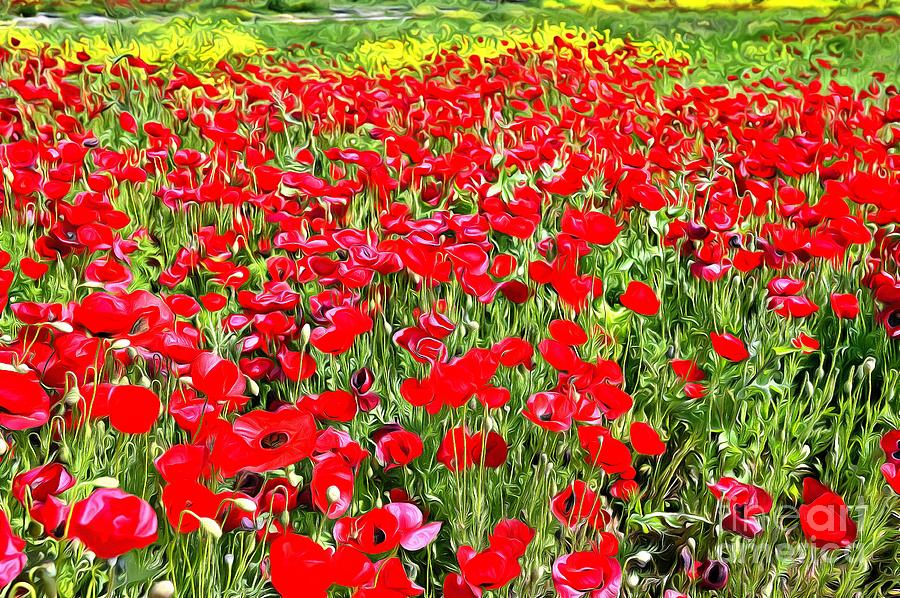 Poppies during springtime V by George Atsametakis Poppies during springtime V by George Atsametakis