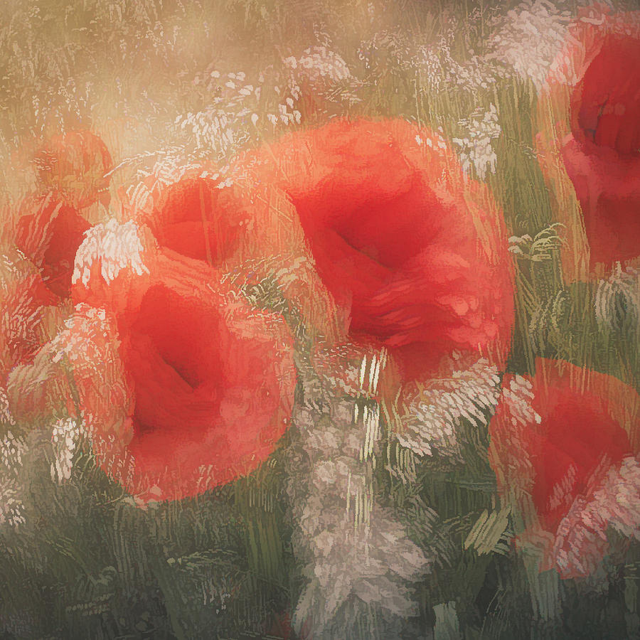 Poppies In The Grass Photograph by Nel Talen