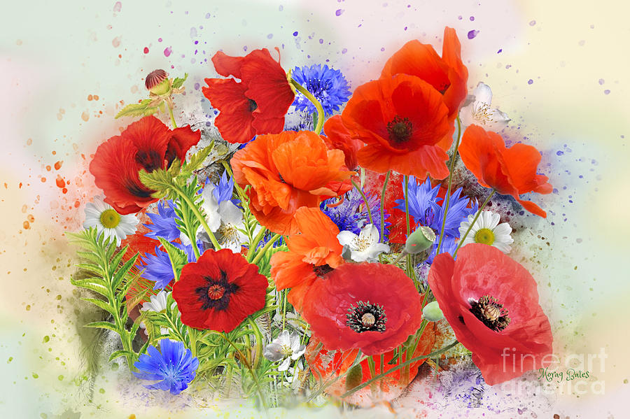 Poppies Digital Art by Morag Bates