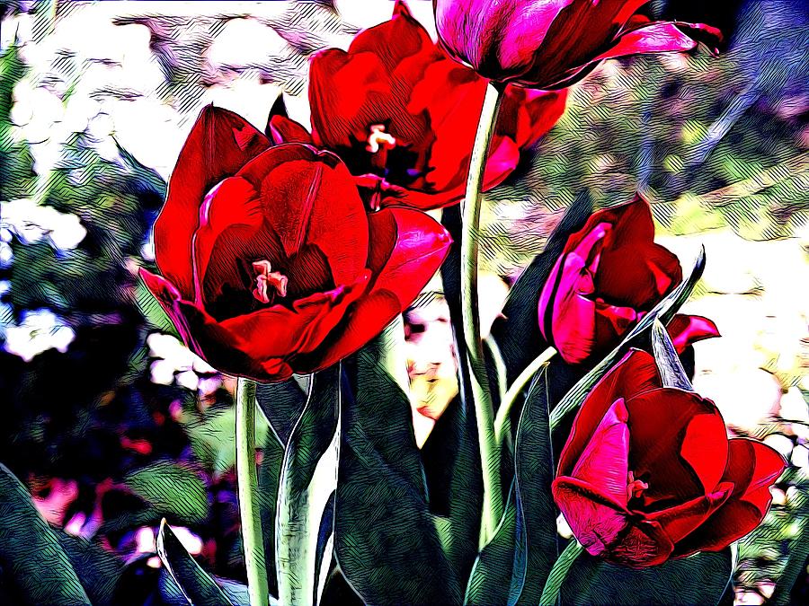 Poppies by Sarah Hanley Poppies by Sarah Hanley