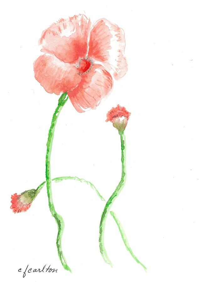  Red Poppy Painting by Claudette Carlton