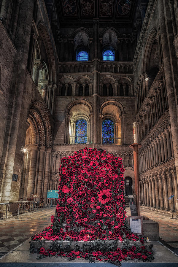 Poppy Display at Ely Cathedral Photograph by James Billings