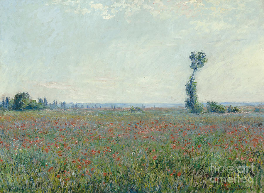Poppy Field, 1881. Artist Monet, Claude Drawing by Heritage Images