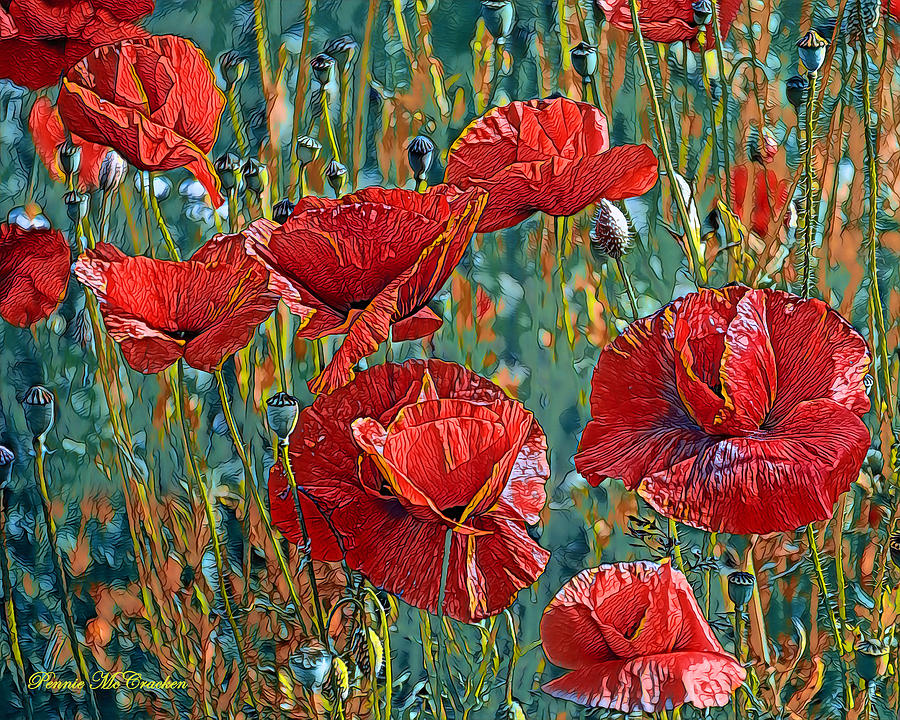 Poppy Field Digital Art by Pennie McCracken