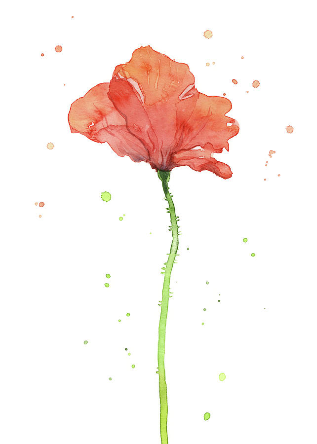 Poppy Painting - Poppy Flower  by Olga Shvartsur