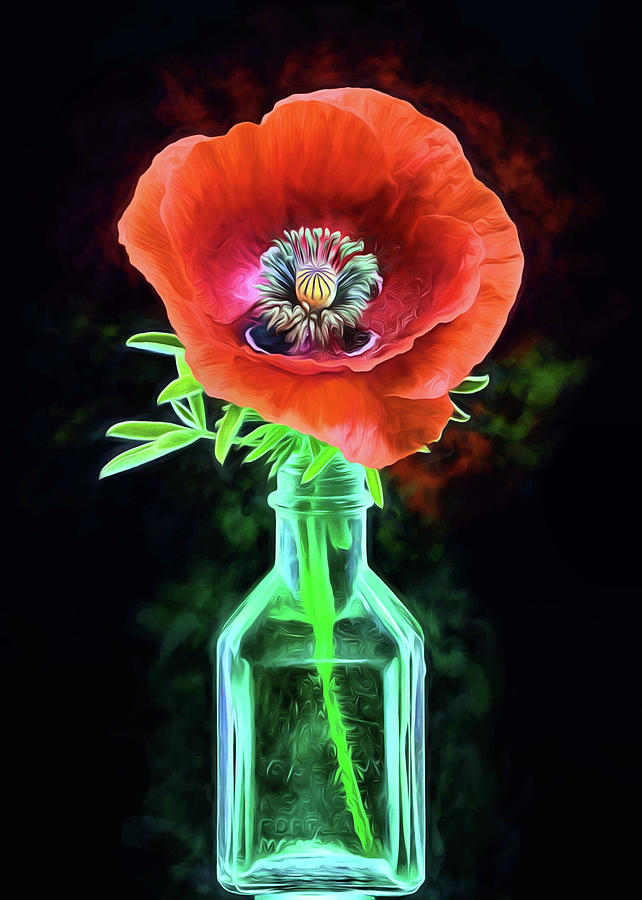 Poppy Flower Still Life Digital Art by JC Findley