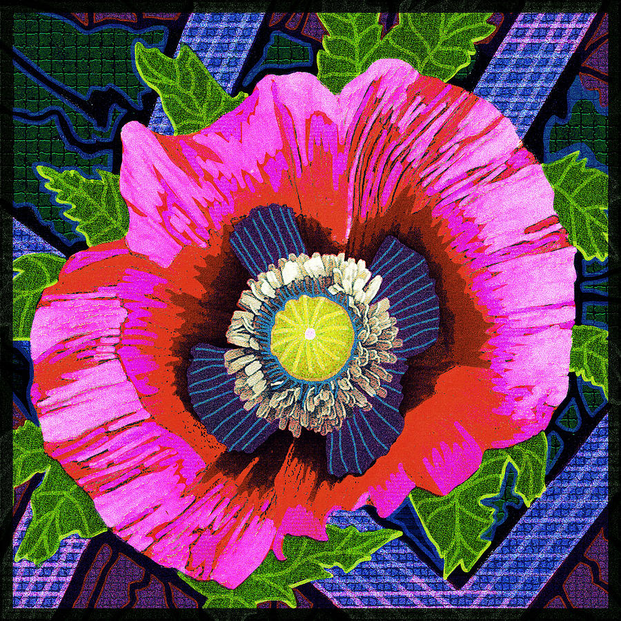 Poppy Madness Digital Art by Rod Whyte