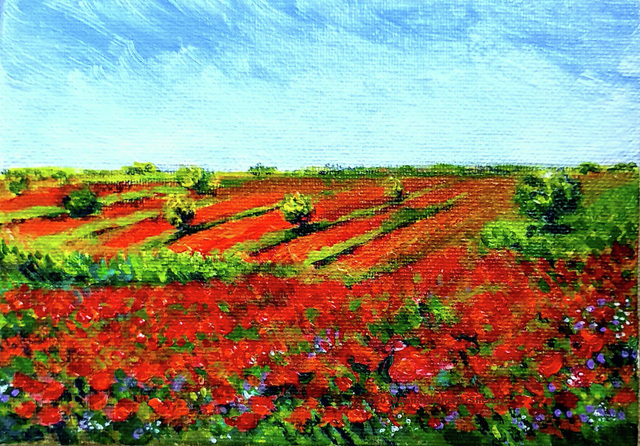 Poppy meadow Painting by Asha Sudhaker Shenoy