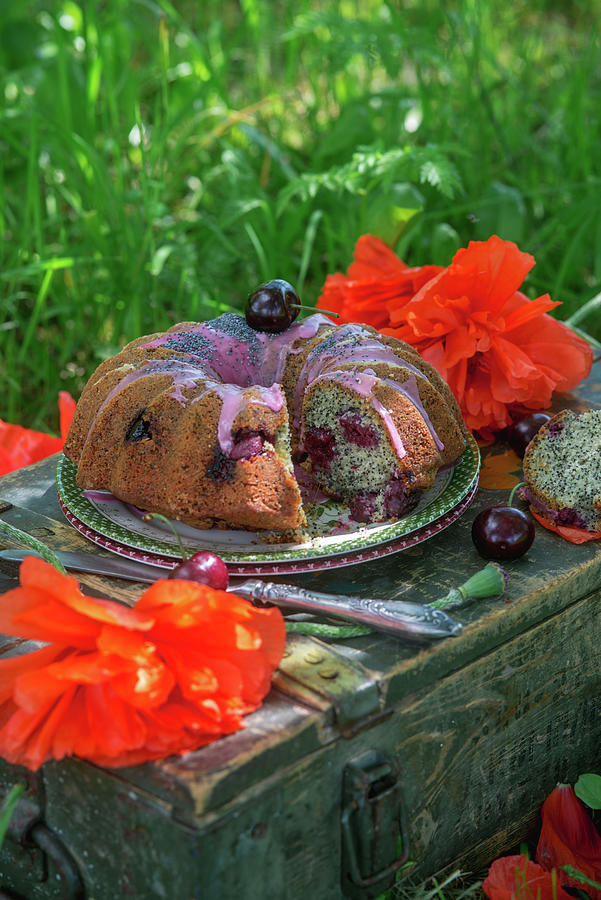 Poppy Seed Cake With Cherries And Cherry Glaze Photograph by Irina Meliukh