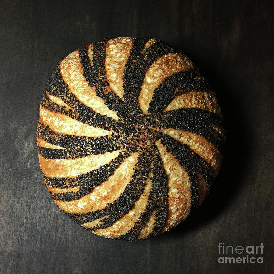 Poppy Seed Crusted Swirl 1 Photograph by Amy E Fraser