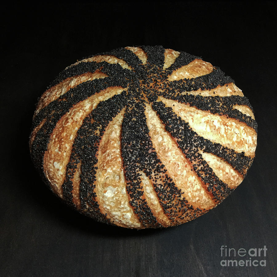 Poppy Seed Crusted Swirl 2 Photograph by Amy E Fraser