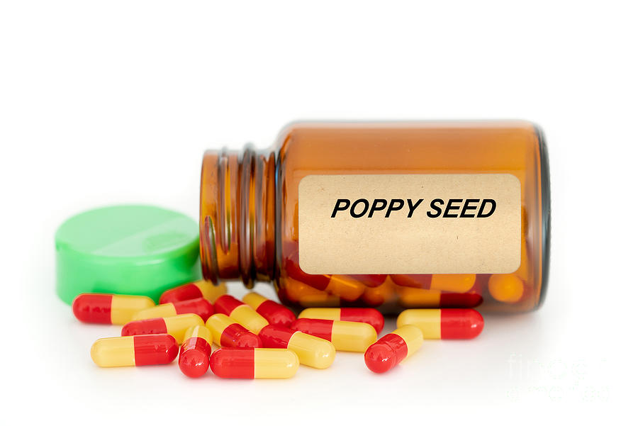 Bottle Photograph - Poppy Seed Herbal Medicine by Wladimir Bulgar/science Photo Library
