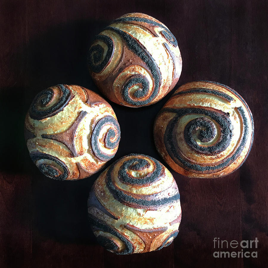 Poppy Seed Spiral Sourdough X 4 C Photograph by Amy E Fraser