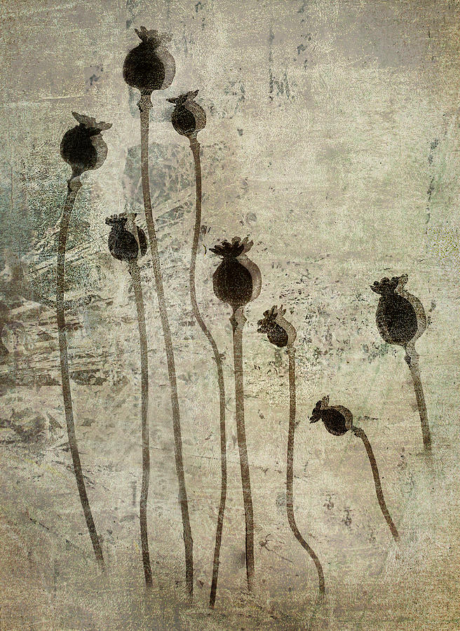 Poppy Photograph - Poppy Seedlings by Nel Talen