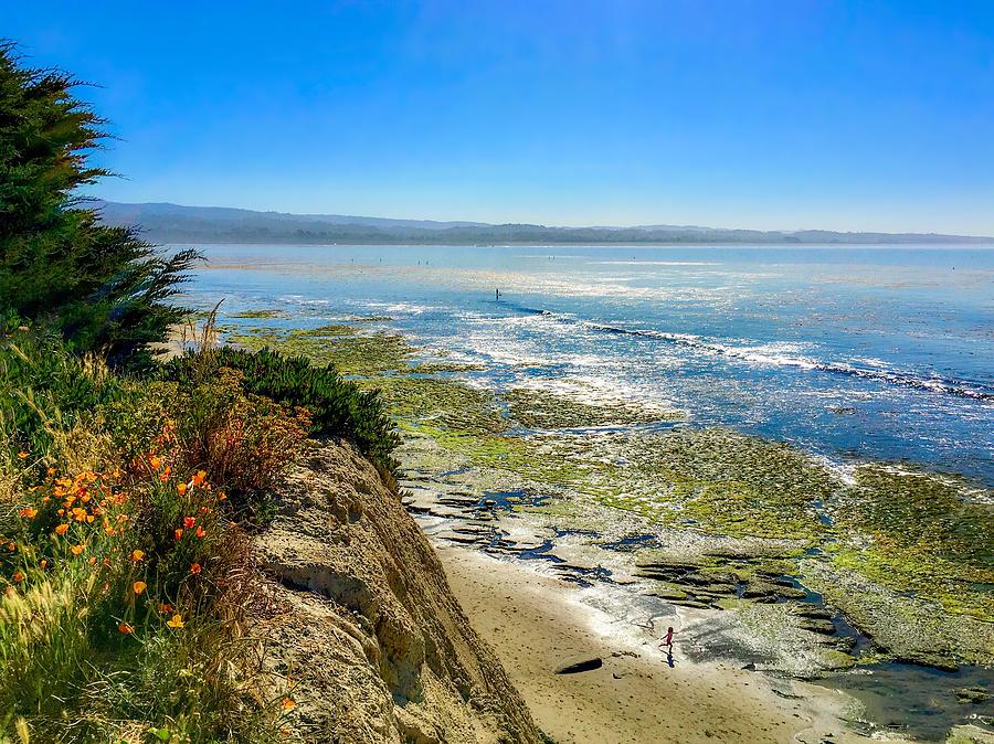Beach Photograph - Poppy Strewn Cliffs Over Monterey Bay by Christina Ford