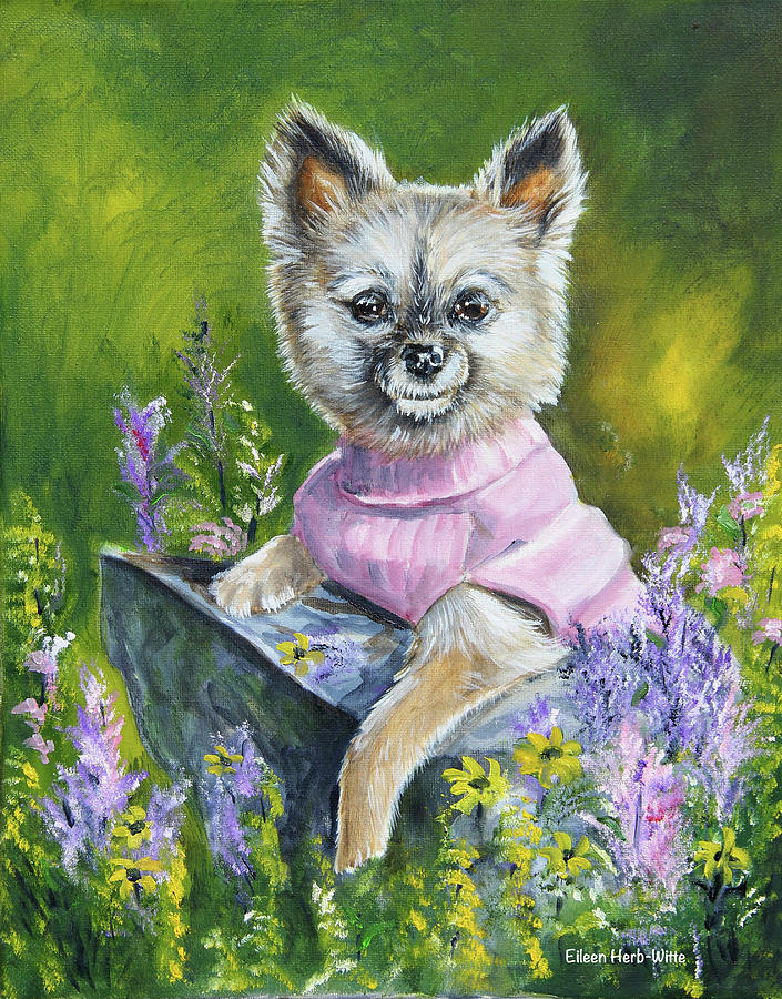 Dog Painting - Poppy The Pomeranian by Eileen Herb-witte