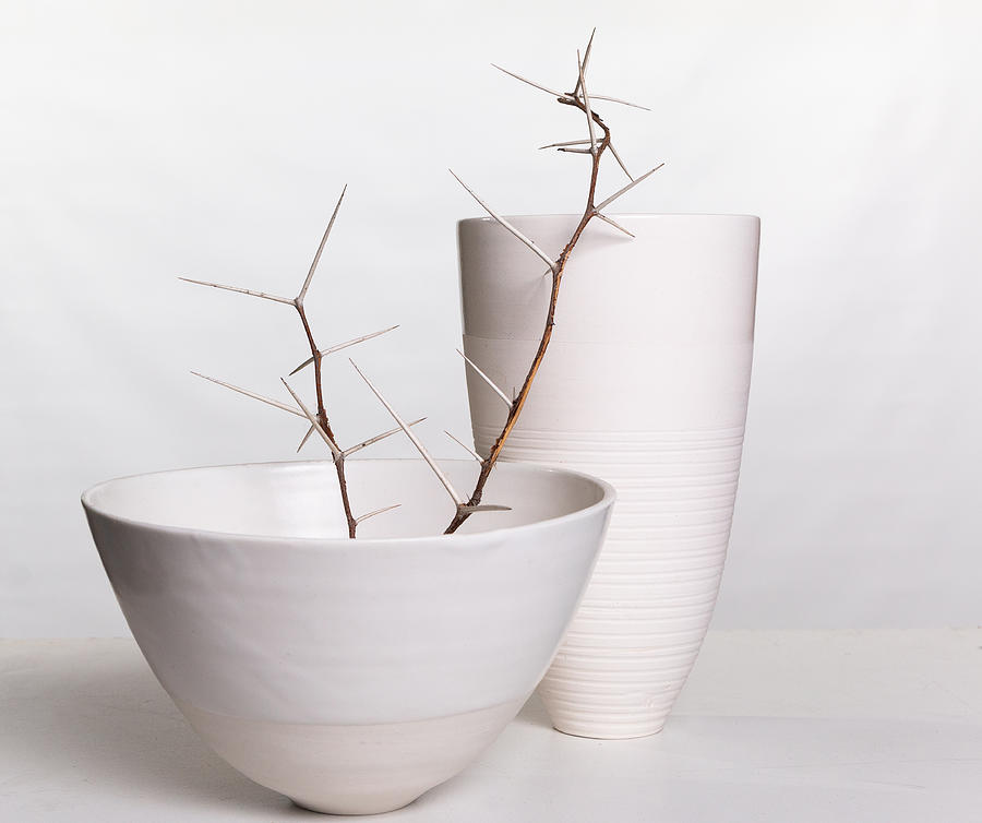 Bowl Photograph - Porcelain And Thorns by Pamela Brighton