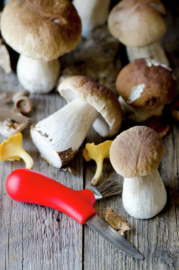 Porcini Mushrooms, Chanterelle Mushrooms And A Mushroom Knife Photograph by Jamie Watson