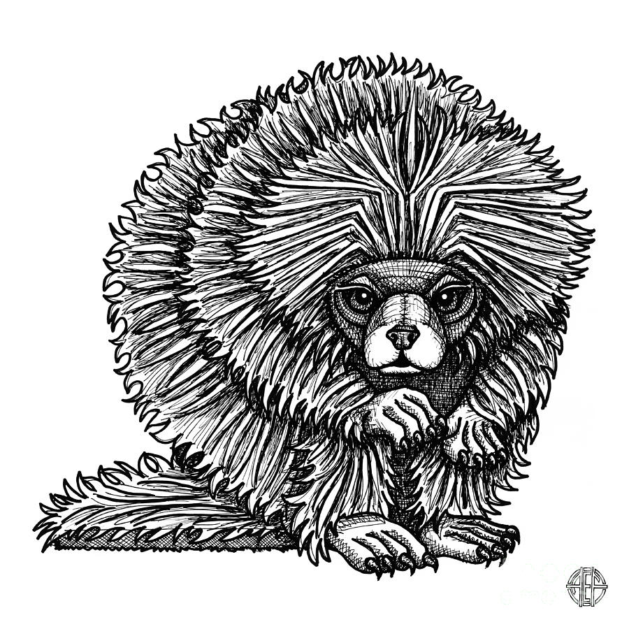 Porcupine Drawing by Amy E Fraser