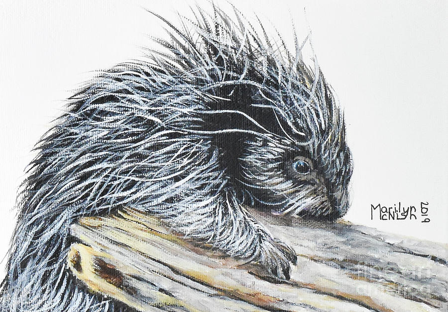 Porcupine Baby Painting by Marilyn McNish
