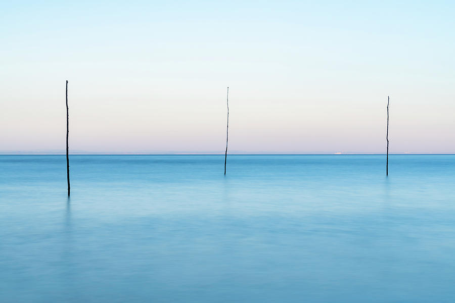Sunset Photograph - Porlock Weir Poles by David Taylor