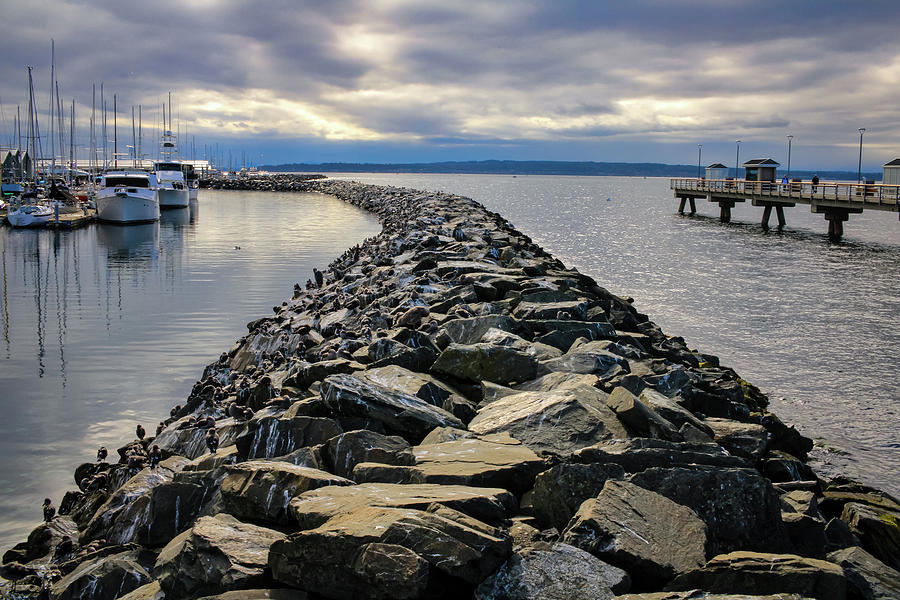 Port of Edmonds Photograph by Anamar Pictures