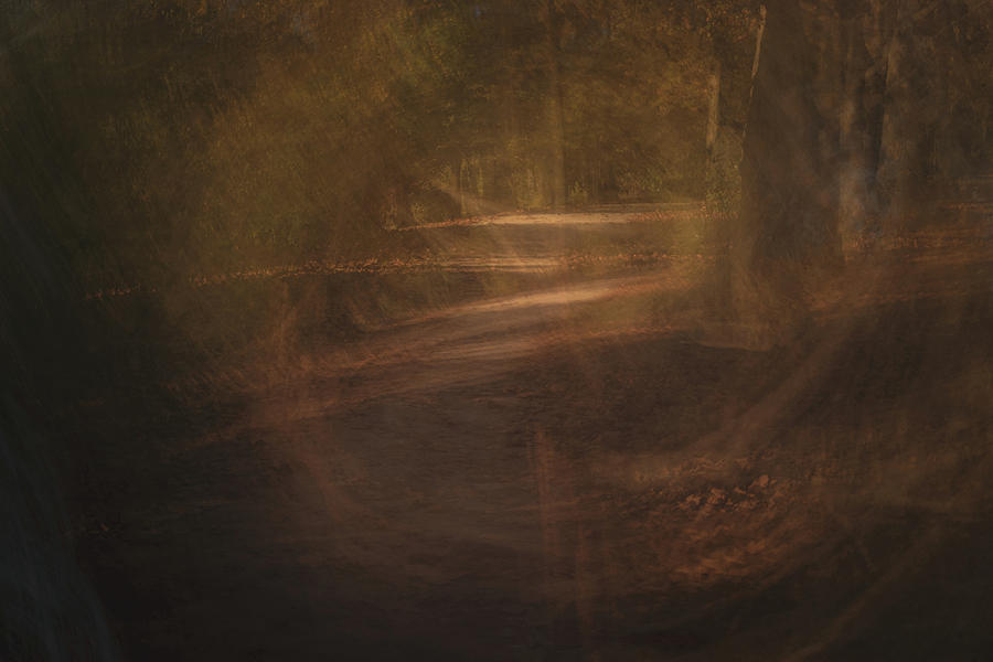 Portal Photograph - Portal by Dalibor Hanzal Portal Photograph - Portal by Dalibor Hanzal