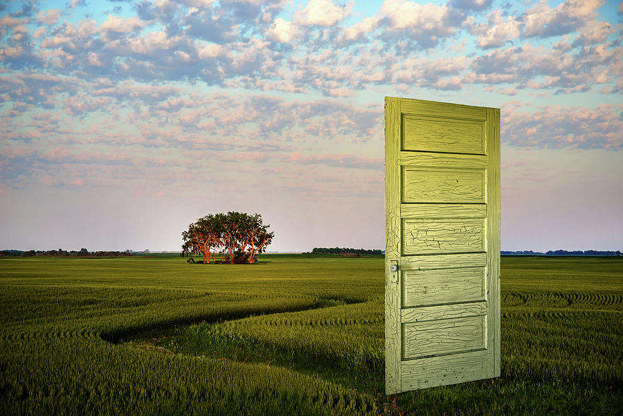 Portal - ND wheat field composite with weathered door from an abandoned homestead Photograph by Peter Herman