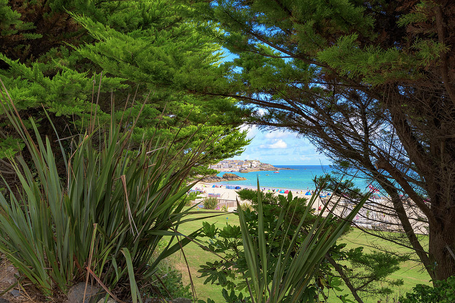 Porthminster behind the trees - St Ives Cornwall by Eddy Kinol Porthminster behind the trees - St Ives Cornwall by Eddy Kinol